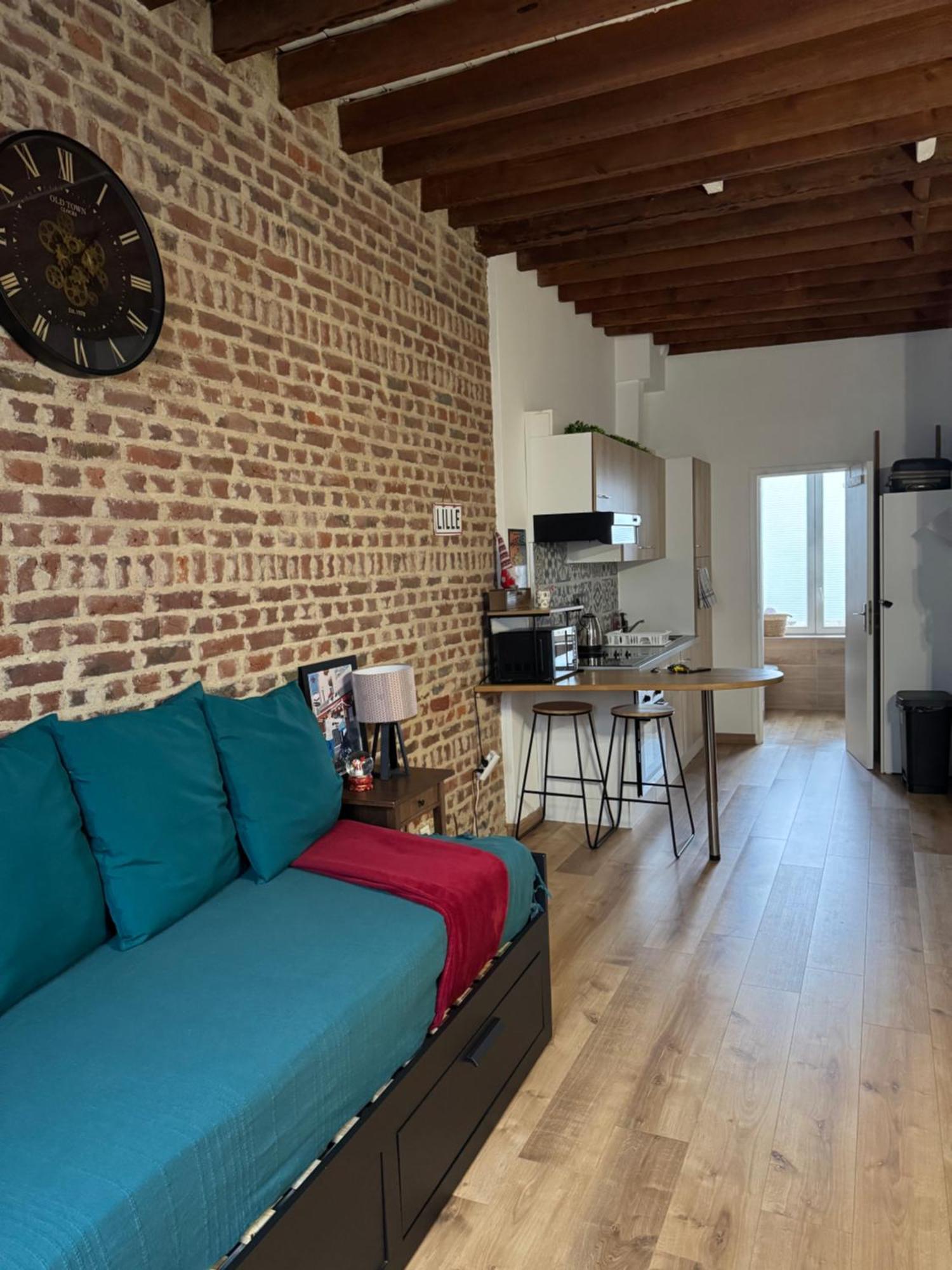 Apartmán L'Ile Aux Ch'Tis Lille Exteriér fotografie