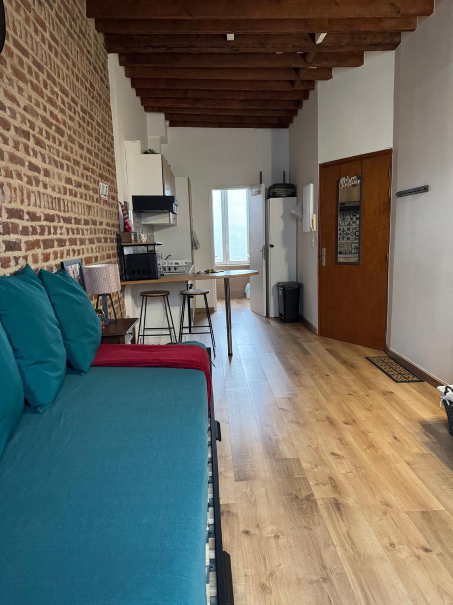 Apartmán L'Ile Aux Ch'Tis Lille Exteriér fotografie