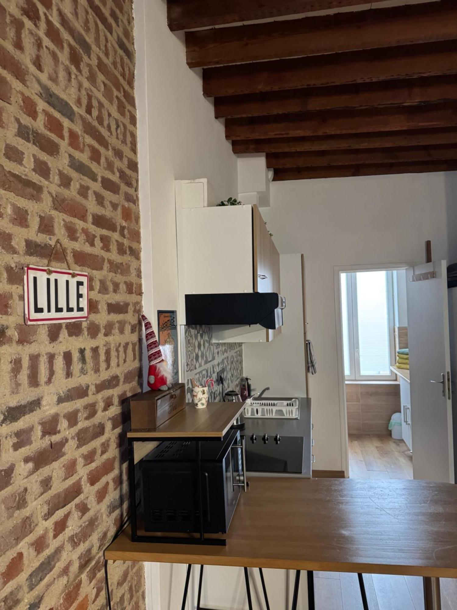 Apartmán L'Ile Aux Ch'Tis Lille Exteriér fotografie